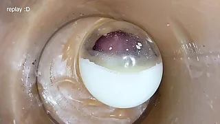 Porn Twink Free 14